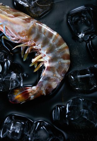Photo for Fresh wild seafood ingredients, shrimp - Royalty Free Image