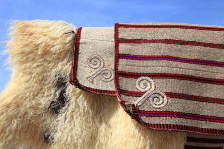 Téléchargez les photos : Handmade bags for storing bread and sheepskins against the sky.  Turkmenistan. Ashkhabad market. - en image libre de droit