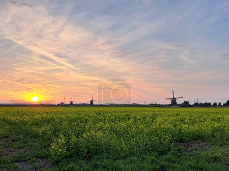 Foto de Puesta de sol sobre los prados del Tweemanspolder en Zevenhuizen en los Países Bajos - Imagen libre de derechos
