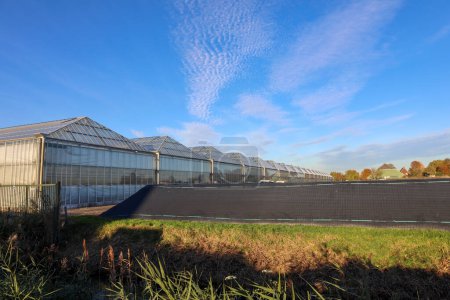 Photo for Greenhouses in the Zuidplaspolder in Zevenhuizen the Netherlands - Royalty Free Image