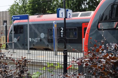 Téléchargez les photos : Trains rouges et noirs de R-Net à la gare Boskoop entre alphen et gouda - en image libre de droit