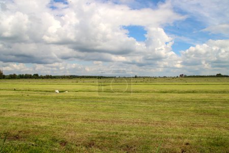 Foto de Prados y carreteras en la zona de Zuidplaspolder, donde se construirá un nuevo pueblo en los Países Bajos - Imagen libre de derechos