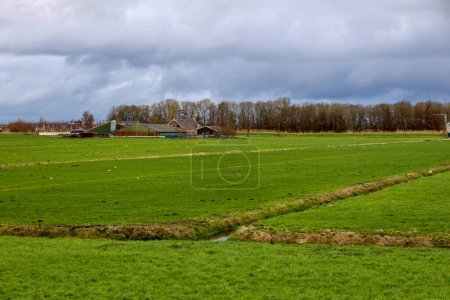 Photo for Meadows between the dyke of the Hollandsche IJssel and Zuidplaspolder ring canal in the Netherlands - Royalty Free Image