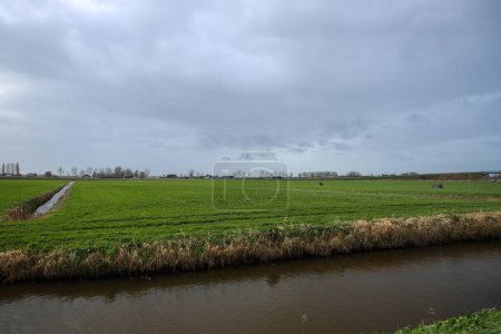 Téléchargez les photos : Prairies dans le polder Zuidplaspolder à Moordrecht pour une utilisation future comme nouvelle zone commerciale à Zuidplas - en image libre de droit