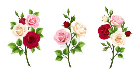 Illustration for Rose flowers. Branches of red, pink, and white roses isolated on a white background. Set of vector illustrations - Royalty Free Image