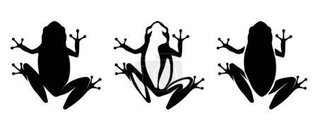 Ranas. Conjunto de siluetas negras de ranas aisladas sobre fondo blanco. Ilustración vectorial