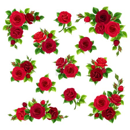 Illustration for Red roses. Set of vector design elements with red rose flowers isolated on a white background - Royalty Free Image