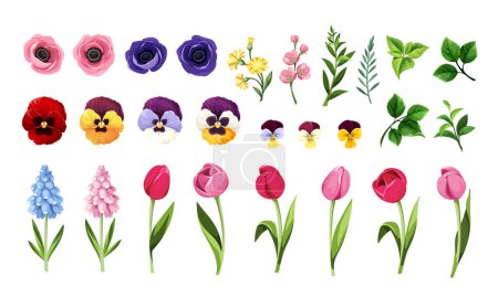 Foto de Flores coloridas y hojas aisladas sobre un fondo blanco. Conjunto de coloridos tulipanes, pansy, anémona y flores de jacinto y hojas verdes. Ilustración vectorial - Imagen libre de derechos