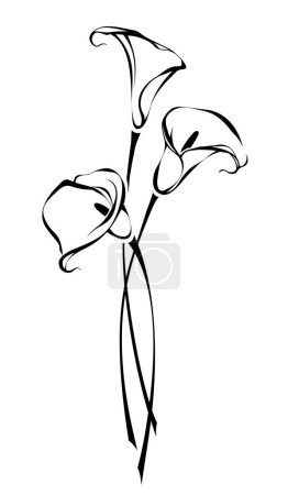 Téléchargez les illustrations : Bouquet de fleurs de lys calla isolées sur fond blanc. Dessin de contour du bouquet de fleurs de calla. Illustration vectorielle noir et blanc - en licence libre de droit