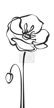 Poppy flower. Black line drawing of a poppy flower isolated on a white background. Vector line art illustration