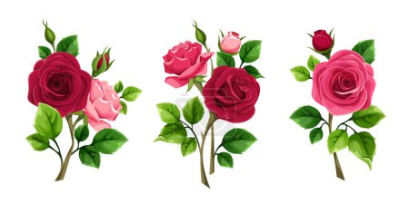 Illustration for Roses. Red and pink rose flowers and green leaves isolated on a white background. Rose branches. Set of vector design elements - Royalty Free Image