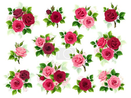 Illustration for Red and pink roses. Big set of vector design elements with red and pink rose flowers and green leaves isolated on a white background - Royalty Free Image