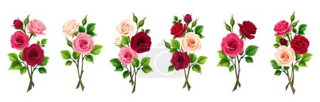 Illustration for Rose branches. Red, pink, and white rose flower branches isolated on a white background. Set of vector design elements - Royalty Free Image