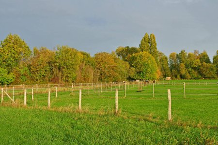 Aincourt; France - november 22 2022 : the countryside