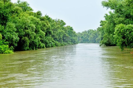 Tulcea, Romania - july 2 2023 : the picturesque Danube delta