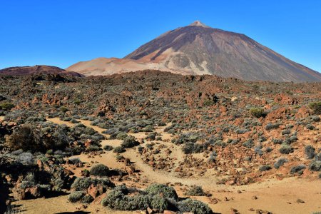 Tenerife, Canary Islands - march 15 2024 : the Teide National Park