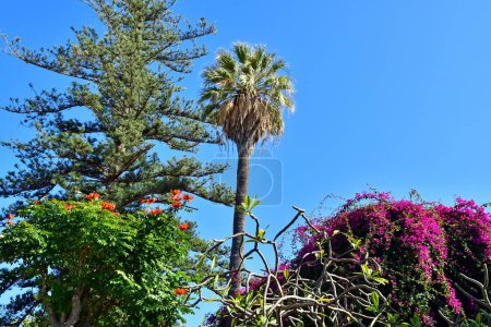 Tenerife, Islas Canarias - 15 de marzo de 2024: el Jardín de Orquídeas en Puerto de la Cruz