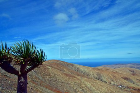 Fuerteventura, Îles Canaries - 15 mars 2024 : l'île pittoresque