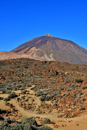 Tenerife, Islas Canarias - 15 de marzo de 2024: el Parque Nacional del Teide
