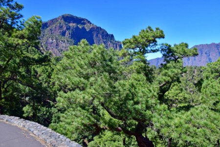La Palma, Islas Canarias - 15 de marzo de 2024: Parque Nacional La Caldera de Taburiente