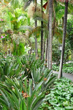 Arucas, Gran Canaria, Islas Canarias - 15 de marzo de 2024: los Jardines de la Marquesa