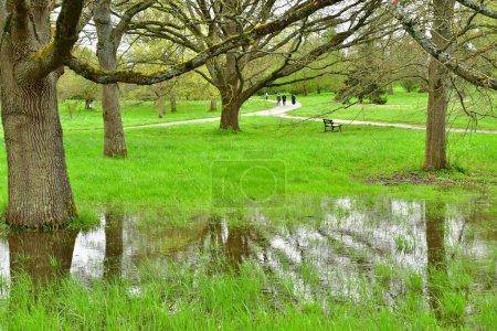 Versalles; Rocquencourt, Francia - 7 de abril de 2024: Arboretum de Chevreloup