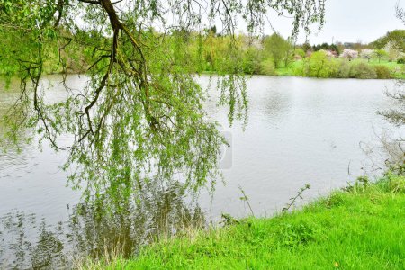 Versailles; Rocquencourt, France - april 7 2024 : pond in the Arboretum de Chevreloup