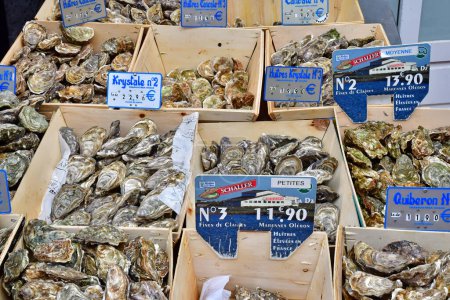Le Touquet Paris Plage; France - april 20 2024 : oysters on the saturday market