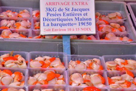 Le Touquet Paris Plage ; France - 20 avril 2024 : pétoncles décortiqués sur le marché du samedi