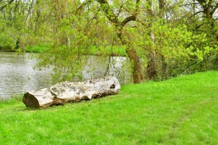 Versalles; Rocquencourt, Francia - 7 de abril de 2024: estanque en el Arboretum de Chevreloup