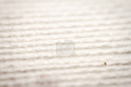 Extreme closeup of white handmade paper with dried plants. Shallow depth of field.