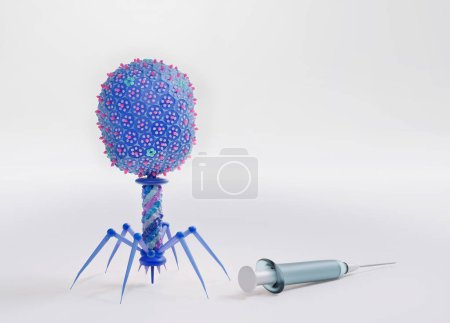 Phagothérapie, illustration conceptuelle. Les bactériophages, ou phages, sont des virus qui infectent les bactéries. 
