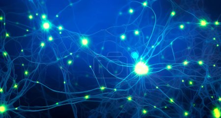 Foto de Red neuronal, ilustración conceptual. Esto podría representar un circuito neuronal de neuronas biológicas o una red de neuronas artificiales utilizadas para modelos de inteligencia artificial.. - Imagen libre de derechos