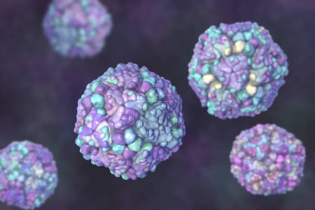 Foto de Ecovirus, ilustración por ordenador. Los ecovirus son un grupo de virus pequeños de ARN monocatenario (ácido ribonucleico) del género Enterovirus, que se sabe que causan una serie de enfermedades, incluyendo infecciones respiratorias y gastrointestinales.. - Imagen libre de derechos