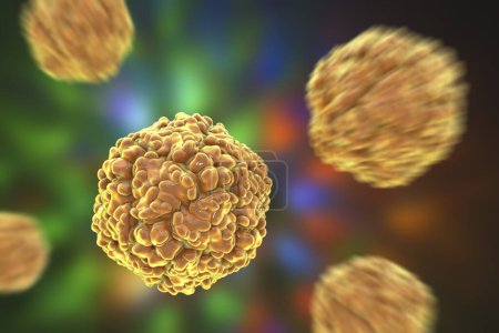 Foto de Ecovirus, ilustración por ordenador. Los ecovirus son un grupo de virus pequeños de ARN monocatenario (ácido ribonucleico) del género Enterovirus, que se sabe que causan una serie de enfermedades, incluyendo infecciones respiratorias y gastrointestinales.. - Imagen libre de derechos