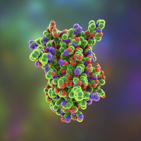 Foto de Molécula de hormona de crecimiento humano (hGH, somatotropina), ilustración por computadora. Hormona natural que se utiliza como medicamento y como agente dopante. - Imagen libre de derechos