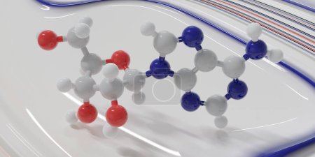 Foto de Molécula nucleósido de adenosina (Ado) purina. Representación 3D: modelo molecular de bola y palo con codificación de color convencional (gris carbono, blanco hidrógeno, rojo oxígeno, azul nitrógeno) mostrado sobre un fondo abstracto parecido a pintura líquida. - Imagen libre de derechos