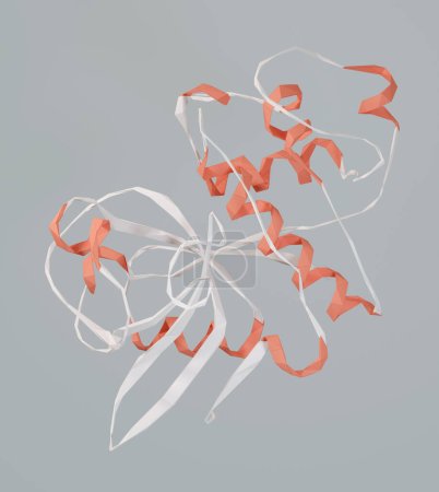 Foto de Factor de crecimiento del nervio humano (hNGF), estructura cristalina. La versión recombinante se conoce como cenegermin. Representación 3D de la proteína dimérica: modelo de dibujos animados en un estilo inspirado en el origami. - Imagen libre de derechos