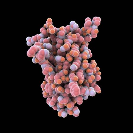 Foto de Molécula de hormona de crecimiento humano (hGH, somatotropina), ilustración por computadora. Hormona natural que se utiliza como medicamento y como agente dopante. - Imagen libre de derechos