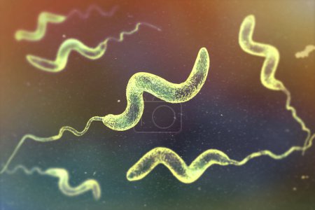 Foto de Bacterias Campylobacter, ilustración por computadora. Las bacterias gramnegativas en forma de espiral, Campylobacter jejuni y C. coli, causan campylobacteriosis en humanos. - Imagen libre de derechos
