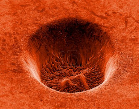 Foto de Cráter de titanio formado por un láser. Micrografía electrónica de barrido de color (SEM) de un cráter a nanoescala formado en una superficie de titanio por un rayo láser de picosecod. El titanio es un elemento metálico. - Imagen libre de derechos