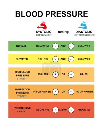 Blood pressure chart, illustration.