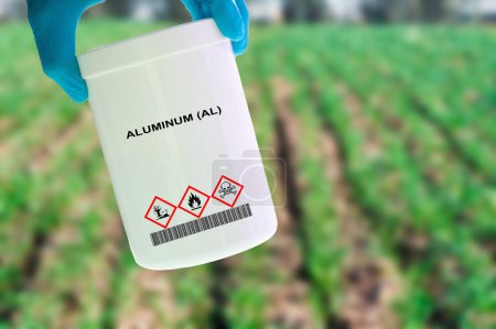 Téléchargez les photos : Conteneur en aluminium (Al) à la main. Élément chimique utilisé en milieu agricole pour réguler l'acidité du sol et améliorer la croissance des plantes. - en image libre de droit