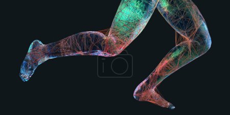 Verbindungen des menschlichen Körpers, 3D-Illustration.