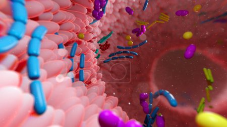 Photo for 3d Illustration of the human gut microbiota. - Royalty Free Image