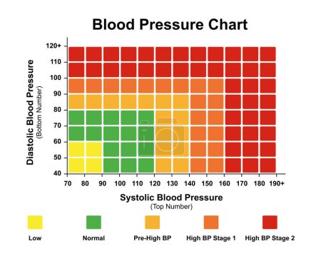 Blood pressure chart, illustration.
