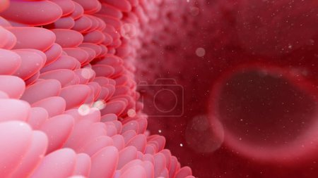 Photo for Illustration of a healthy human gut with villi. - Royalty Free Image