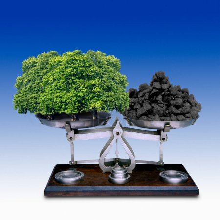 Ausgleich der Kohlendioxidemissionen. Konzeptbild, das Kohle auf einer Waage gegen Bäume balanciert. Dies stellt die als "CO2-Ausgleich" bekannte Umweltstrategie dar..
