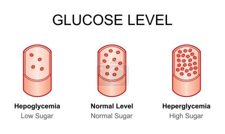 Diseño científico de los niveles de glucosa en sangre, ilustración.