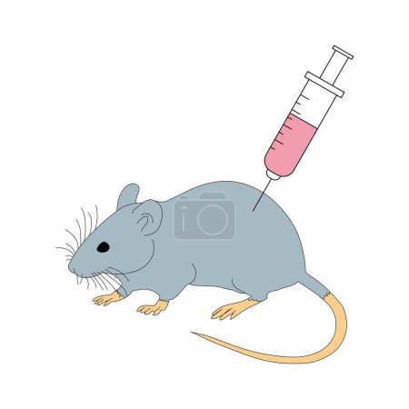 Foto de Ilustración del ratón de laboratorio sobre fondo blanco - Imagen libre de derechos